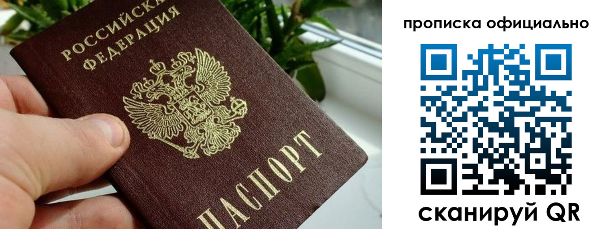 прописка поиск в Дальнереченске
